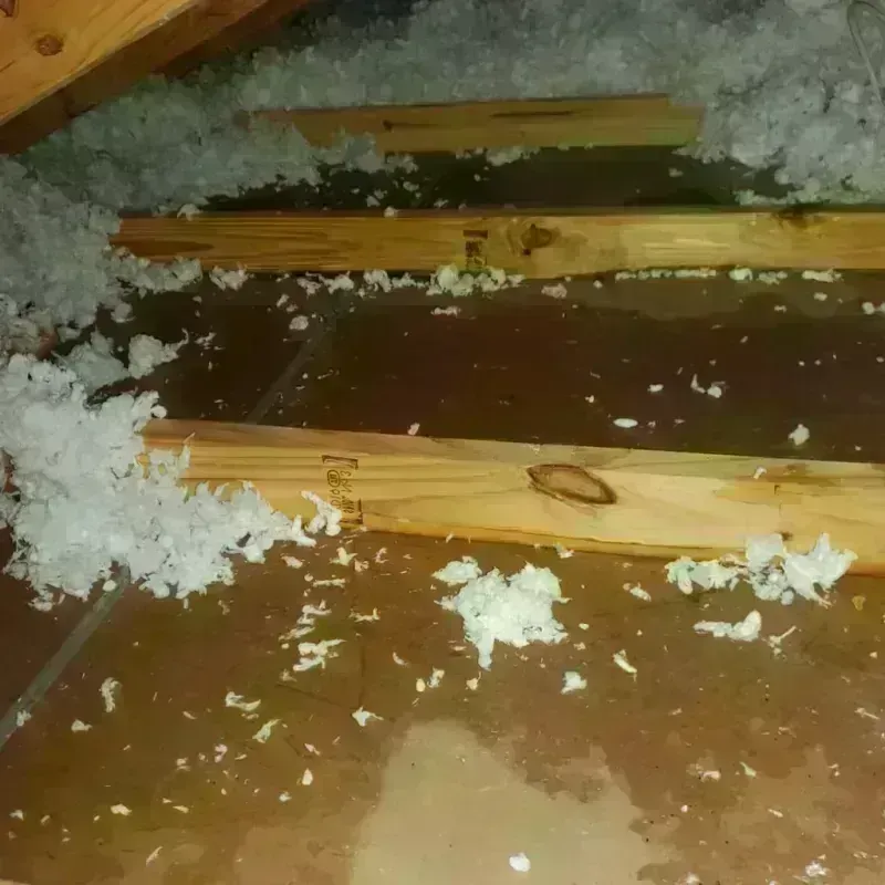 Attic Water Damage in Hudson, MI